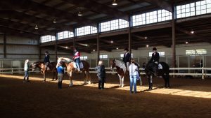 TRAV Horse Show 2019, lineup of horses, riders and walkers in arena