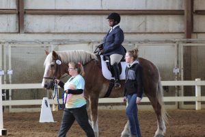 adult riding horse with walkers